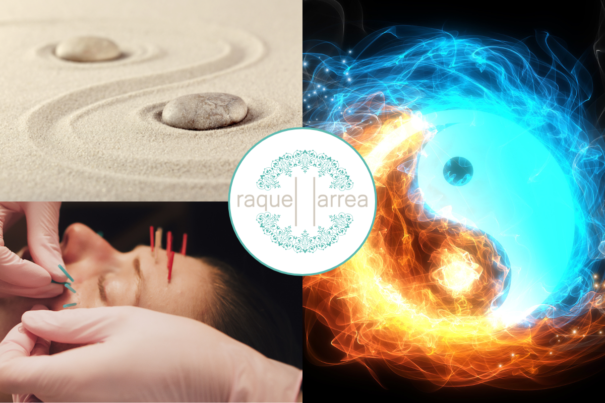 Clase teórica del curso intermedio de acupuntura facial en la Escuela Raquel Larrea
